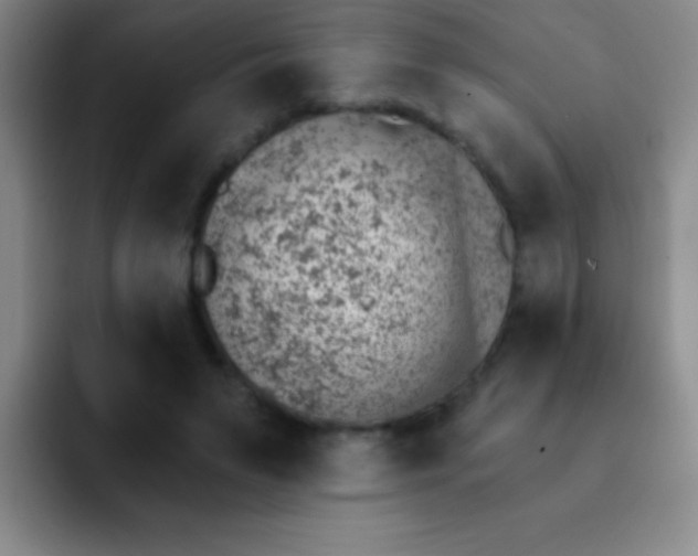 X0000092040495200709261953