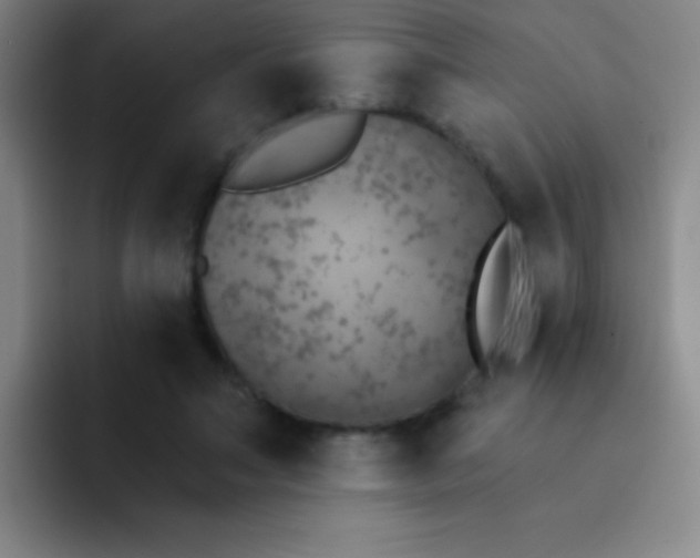 X0000092040499200709261953