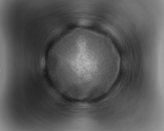 X0000092040502200709261953