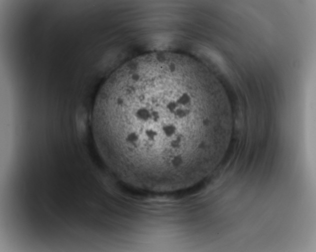 X0000092040503200709261953