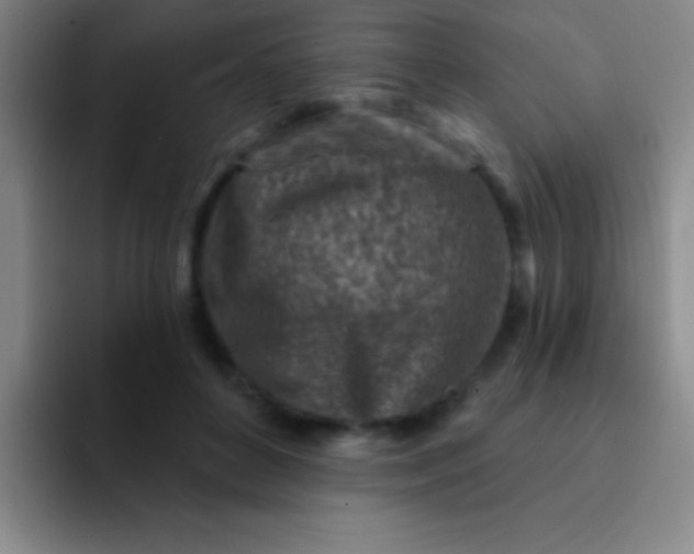 X0000092040504200709261953