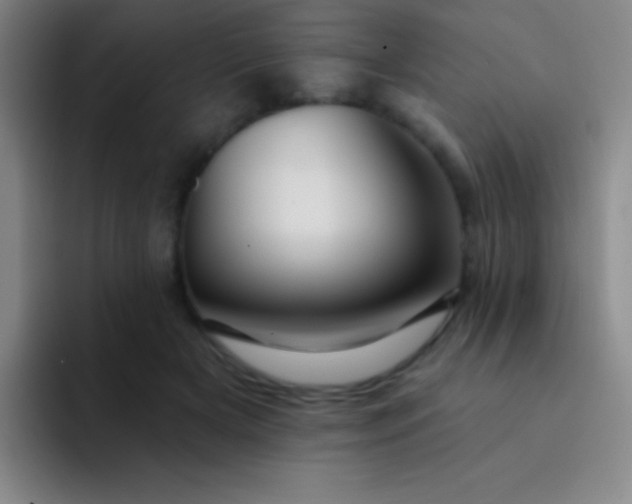 X0000092040505200709261953