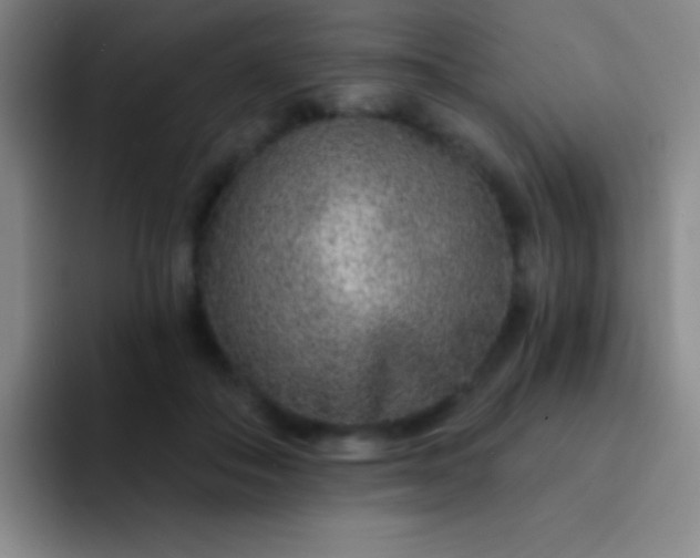 X0000092040506200709261953