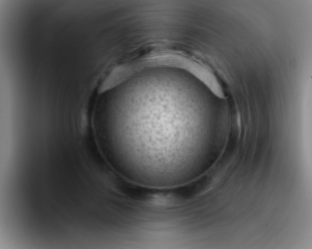 X0000092040508200709261953