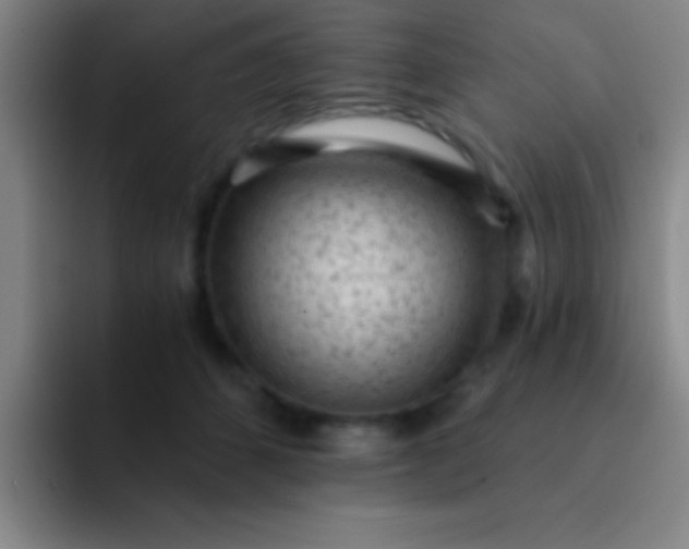 X0000092040512200709261953