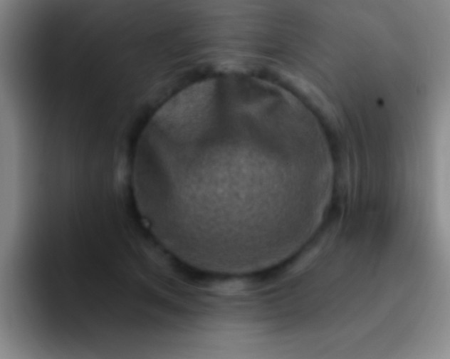 X0000092040513200709261953