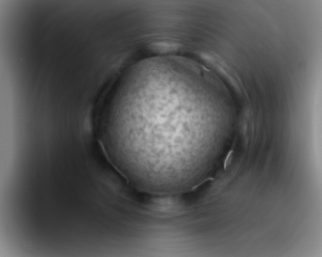 X0000092040516200709261953