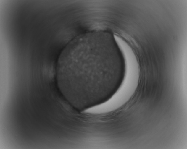 X0000092040517200709261953