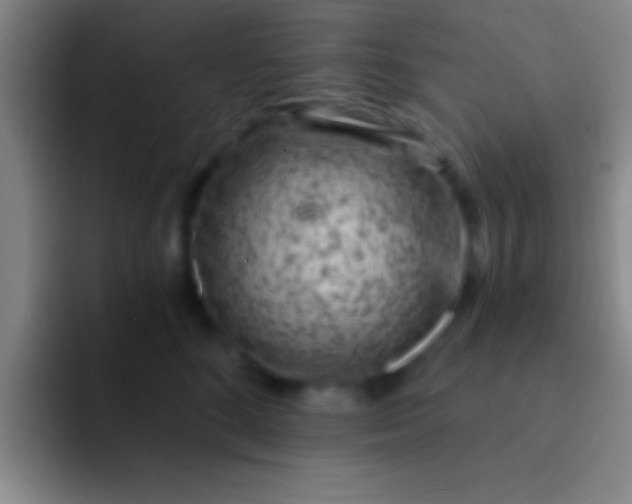 X0000092040520200709261953