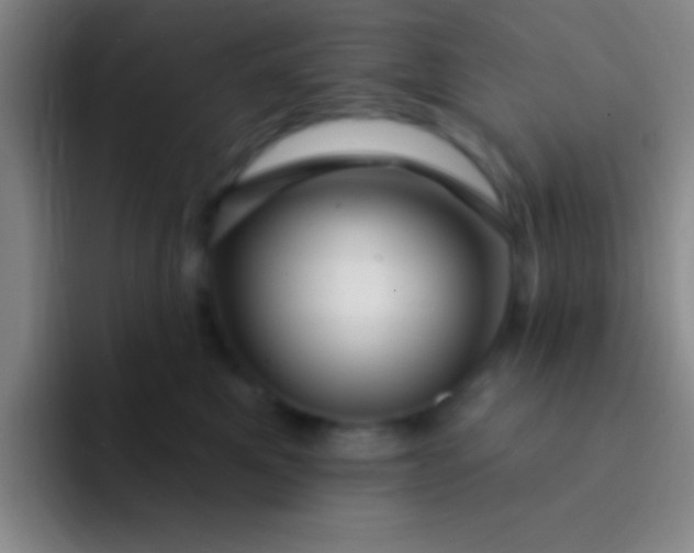 X0000092040521200709261952