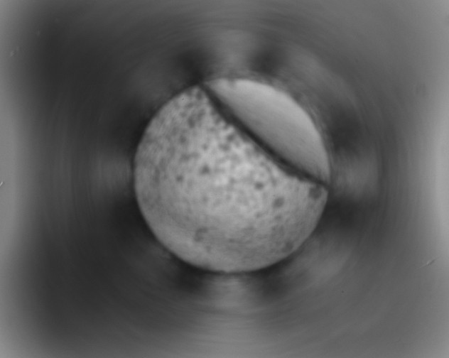 X0000092040523200709261952