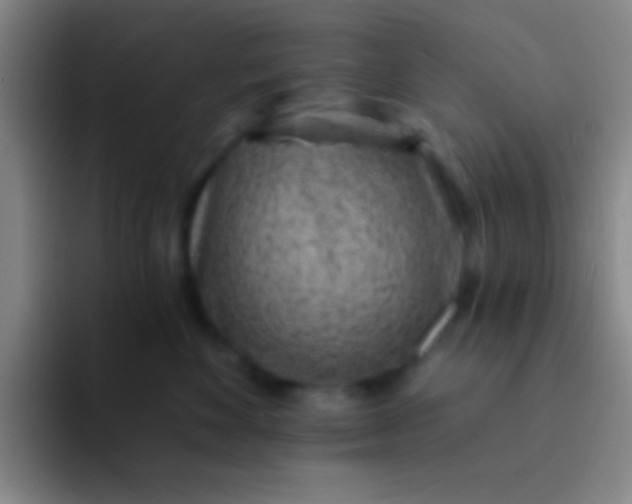 X0000092040524200709261952