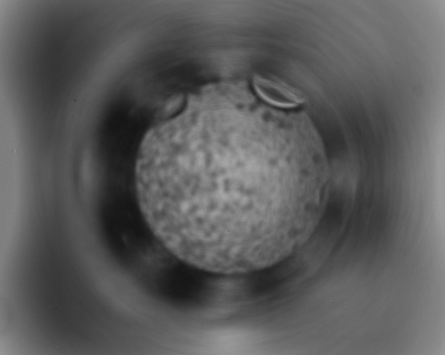 X0000092040527200709261952