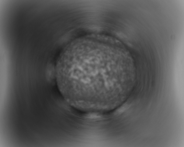 X0000092040528200709261952