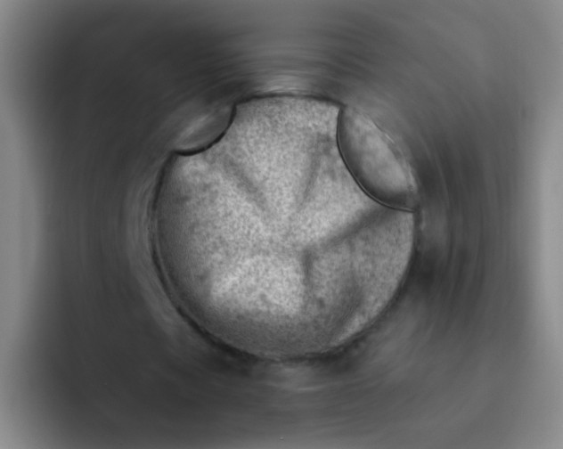 X0000092040529200709261952