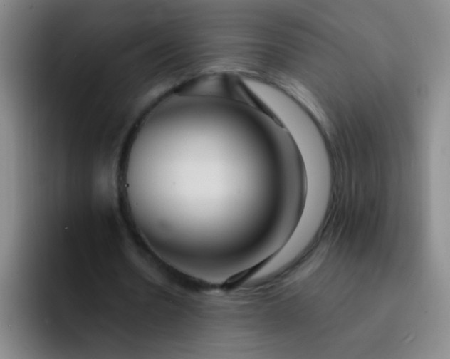 X0000092040530200709261952