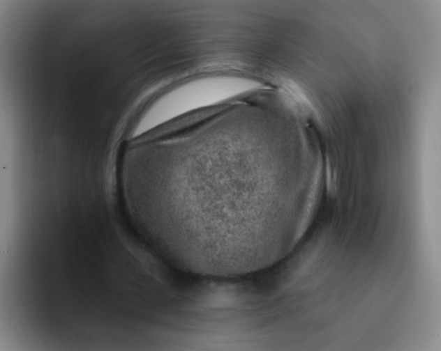 X0000092040531200709261952