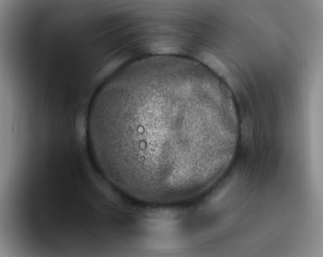 X0000092040533200709261952