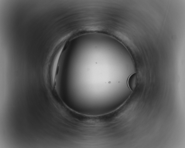 X0000092040535200709261952