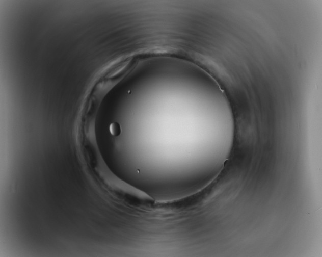 X0000092040536200709261952