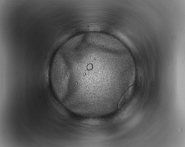 X0000092040537200709261952