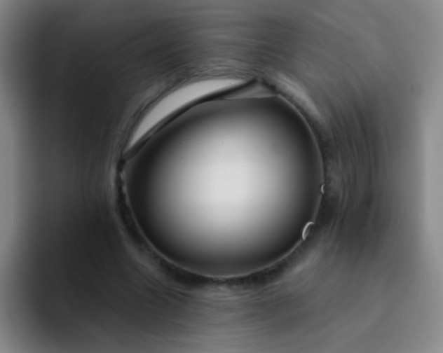 X0000092040538200709261952