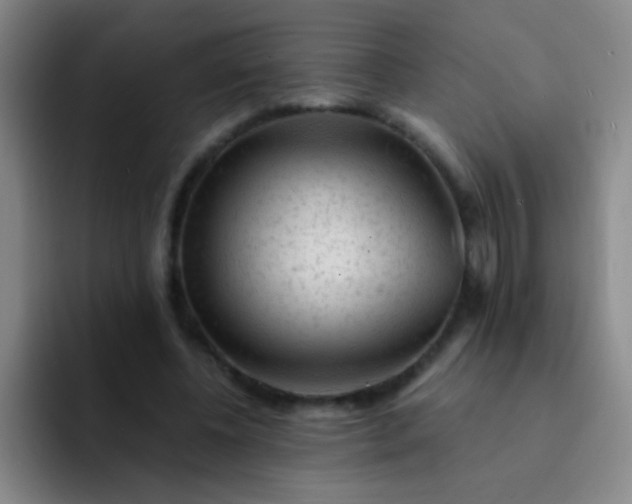 X0000092040540200709261952