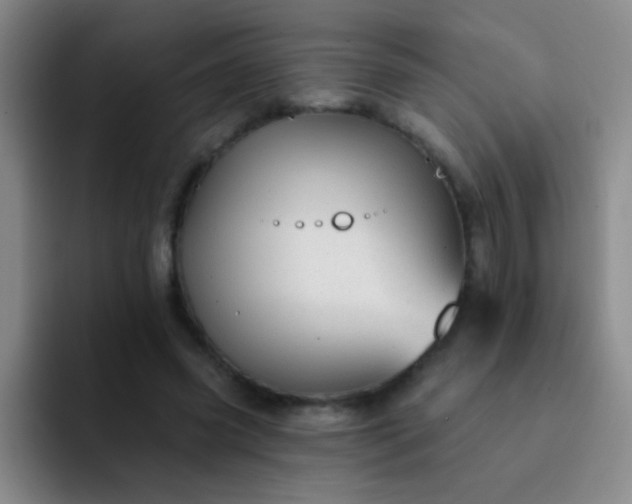 X0000092040541200709261952