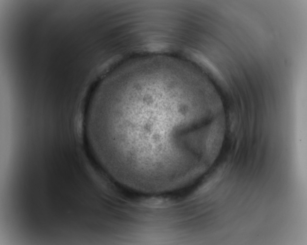 X0000092040542200709261952