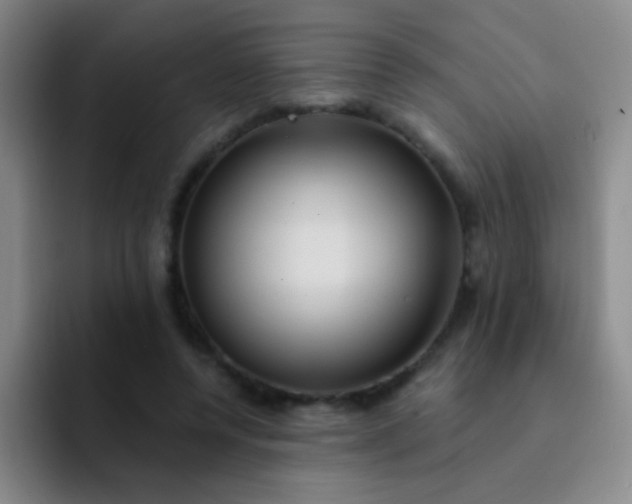 X0000092040544200709261952