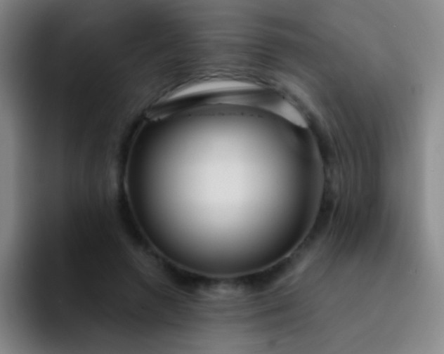 X0000092040546200709261952