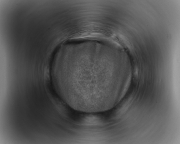 X0000092040547200709261952