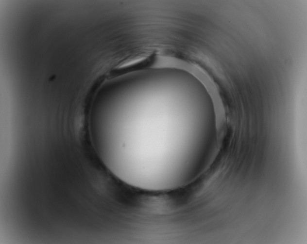 X0000092040548200709261952