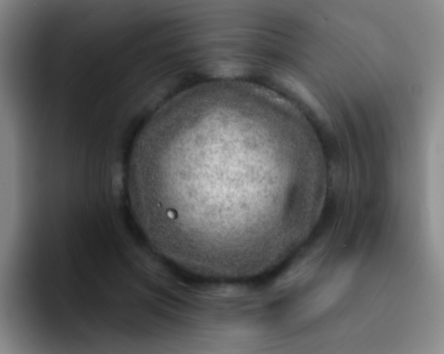 X0000092040549200709261952