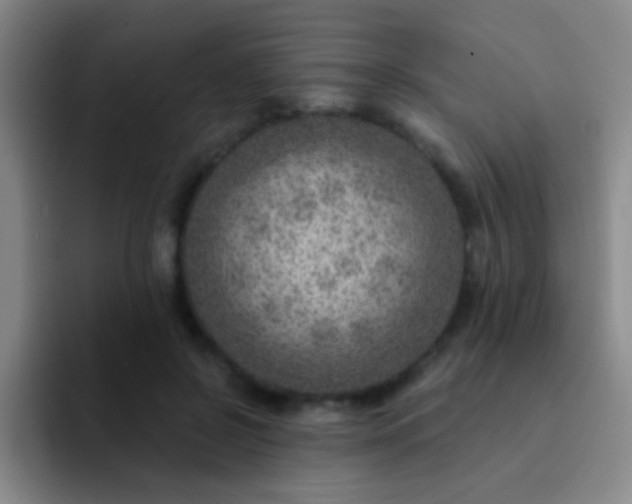 X0000092040550200709261952