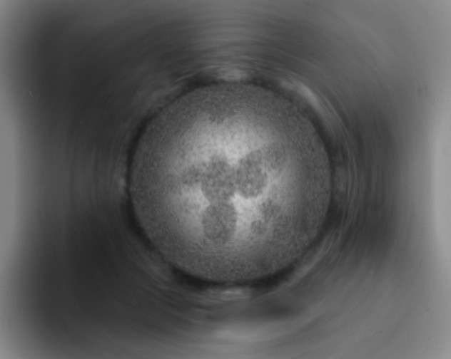 X0000092040553200709261952