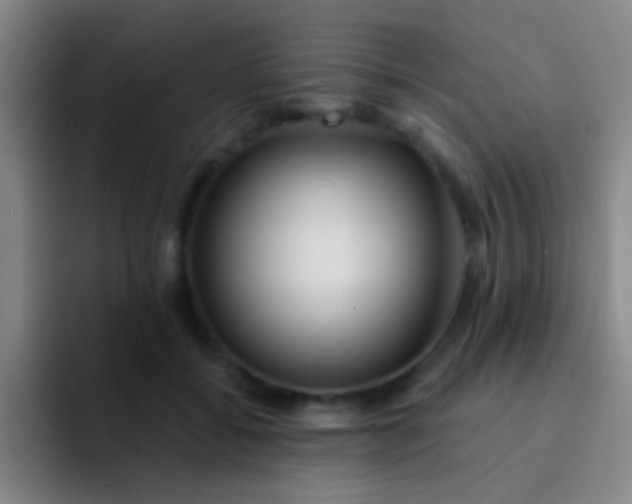 X0000092040556200709261952