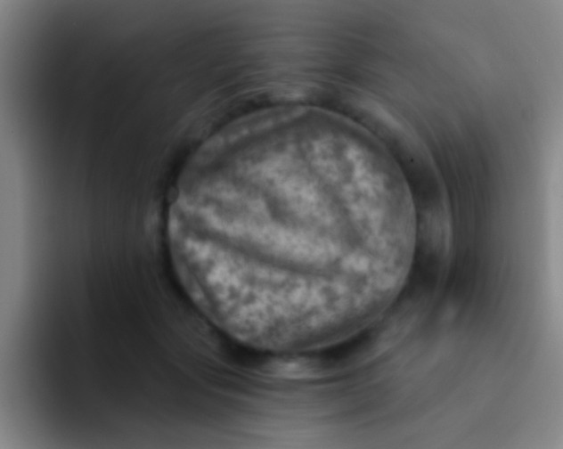 X0000092040557200709261952