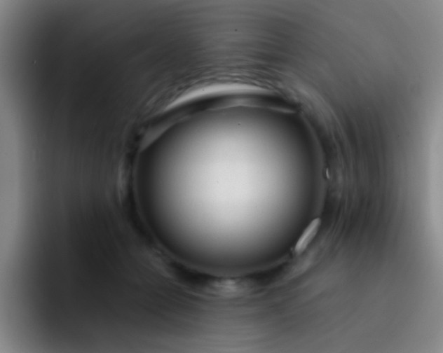 X0000092040558200709261952