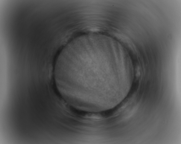 X0000092040559200709261952