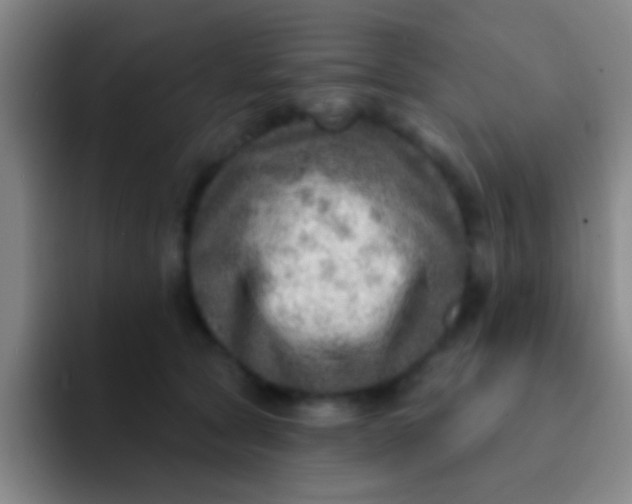 X0000092040561200709261952