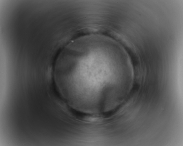 X0000092040563200709261952