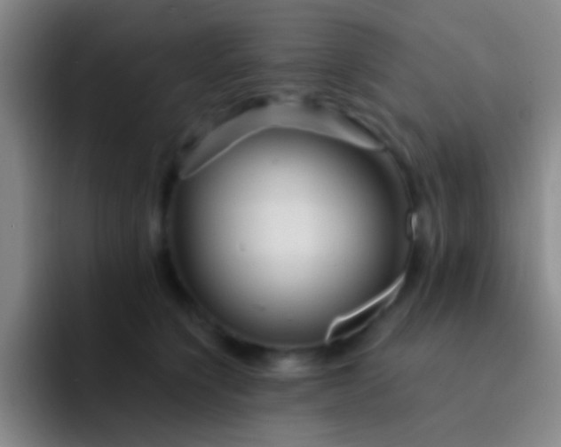 X0000092040564200709261952