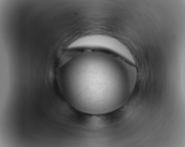 X0000092040566200709261952