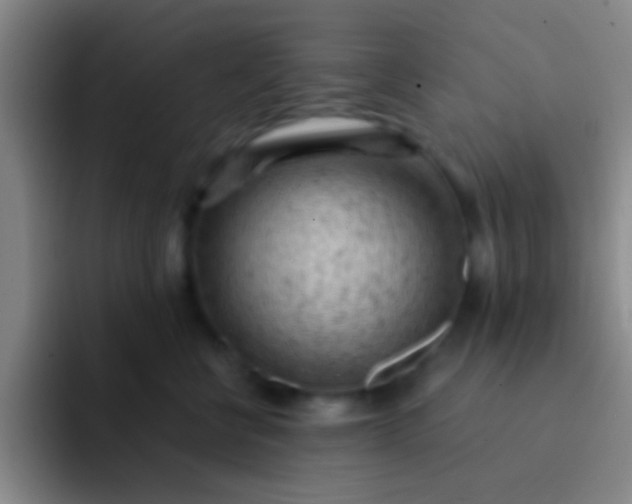 X0000092040570200709261952