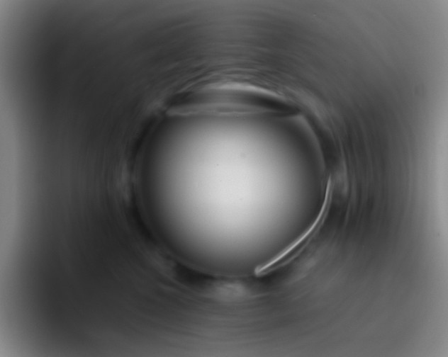 X0000092040572200709261952