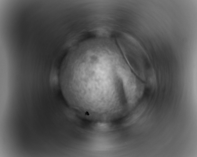 X0000092040573200709261952