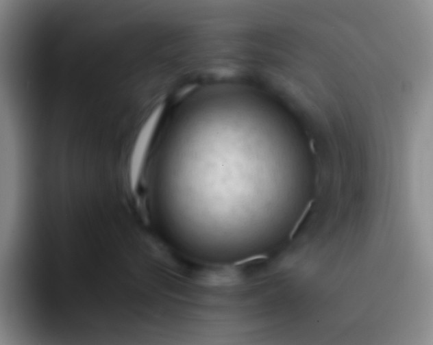 X0000092040576200709261952