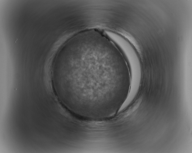 X0000092040577200709261952