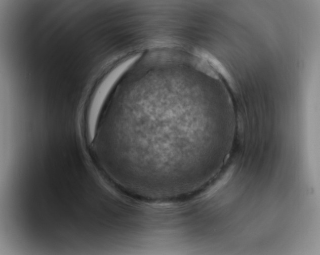 X0000092040581200709261952